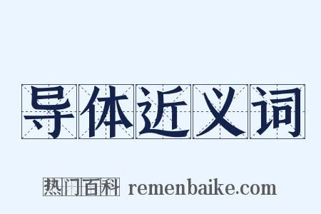 导体近义词是什么意思的图片